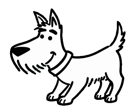 Brovko